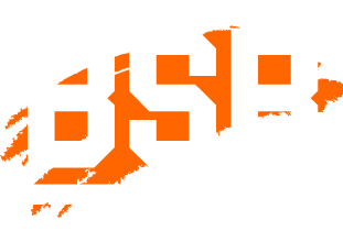 bigsportsblogs.com
